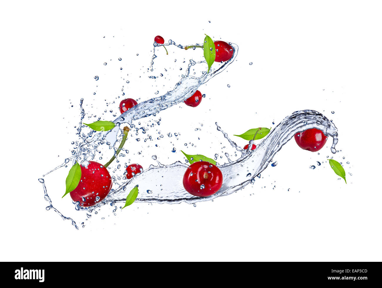 Les cerises dans les éclaboussures d'eau, isolé sur fond blanc Banque D'Images