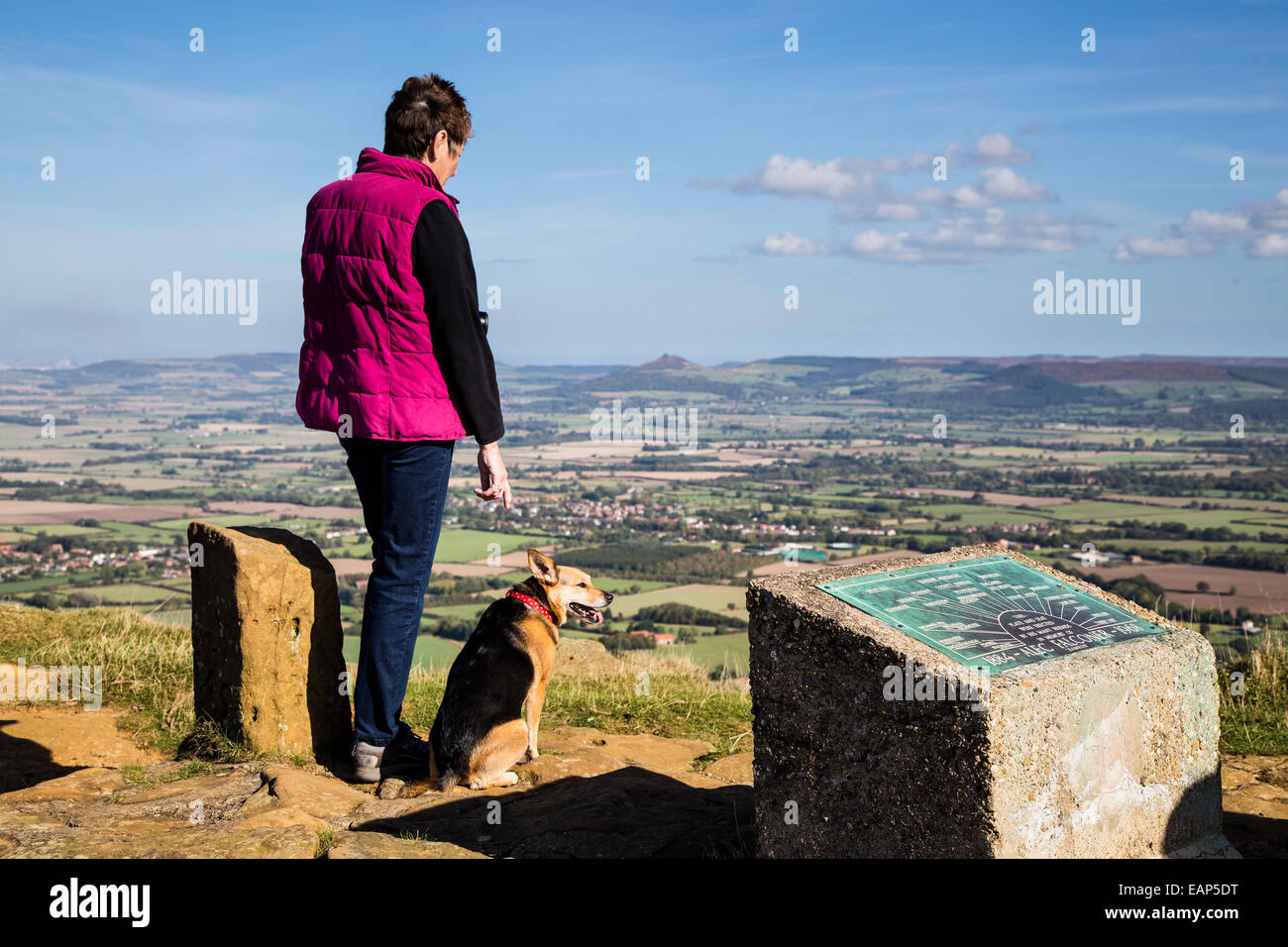 Femme et chien à la recherche vers le Cleveland Hills Banque D'Images