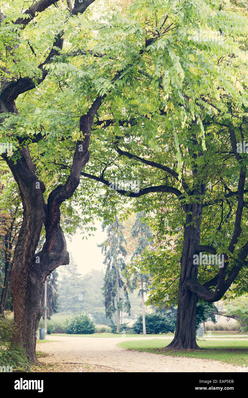 Les arbres et le chemin sur l'île Margaret Park belle espace vert Banque D'Images