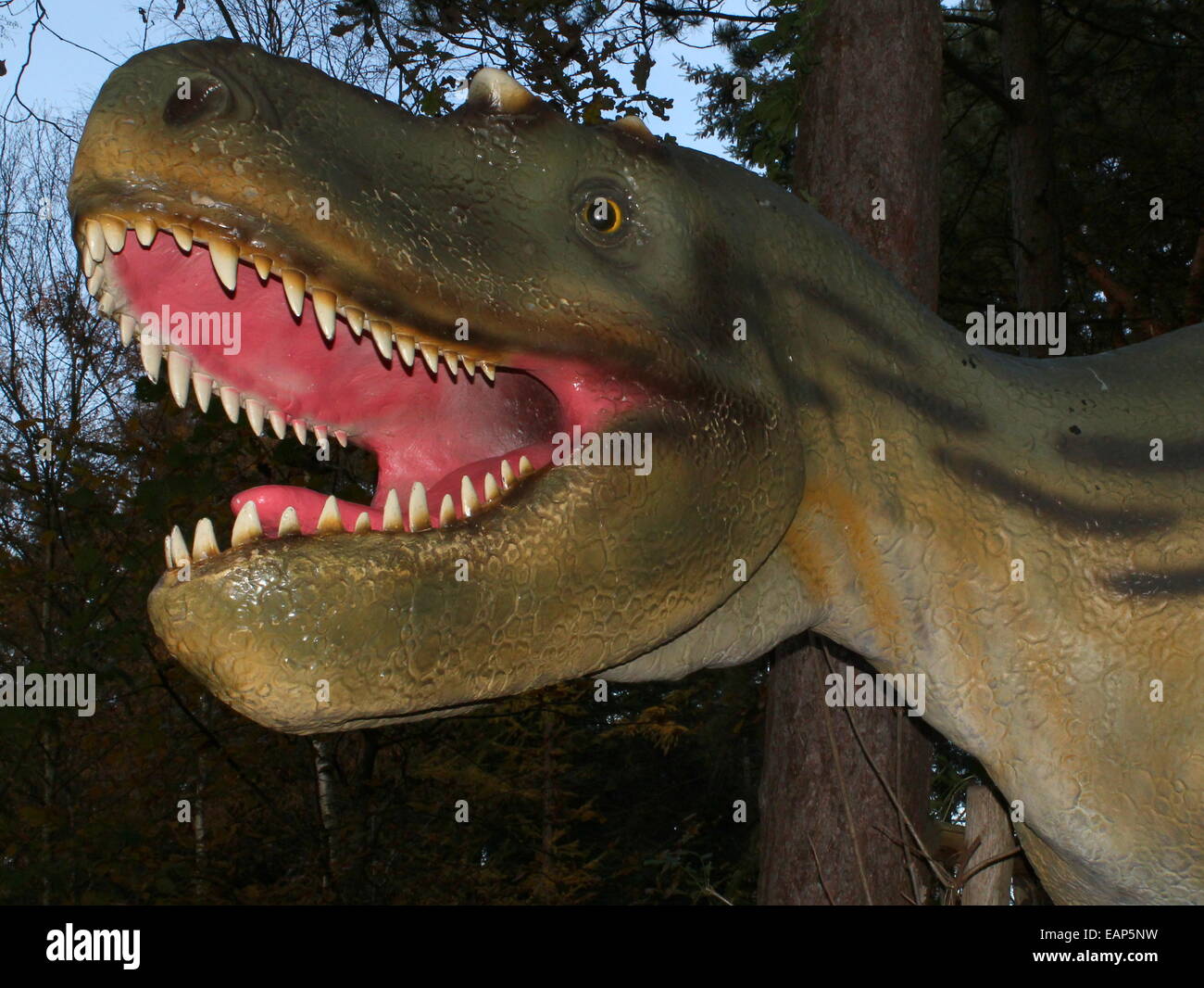 L'Albertosaurus nord-américain, un grand dinosaure carnivore de l'ère du Crétacé, à Amersfoort, Pays-Bas Dinopark Zoo Banque D'Images