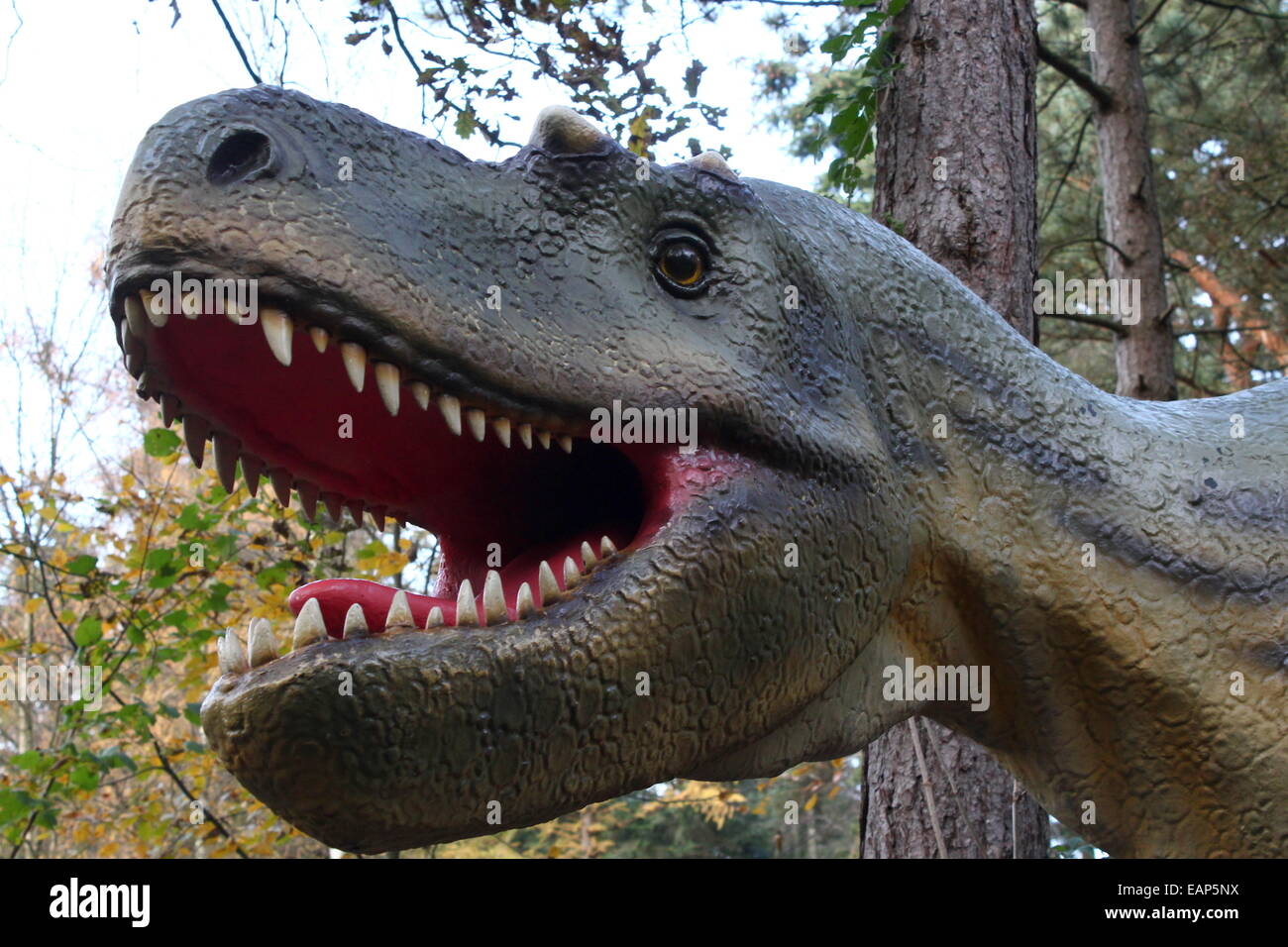 L'Albertosaurus nord-américain, un grand dinosaure carnivore de l'ère du Crétacé, à Amersfoort, Pays-Bas Dinopark Zoo Banque D'Images
