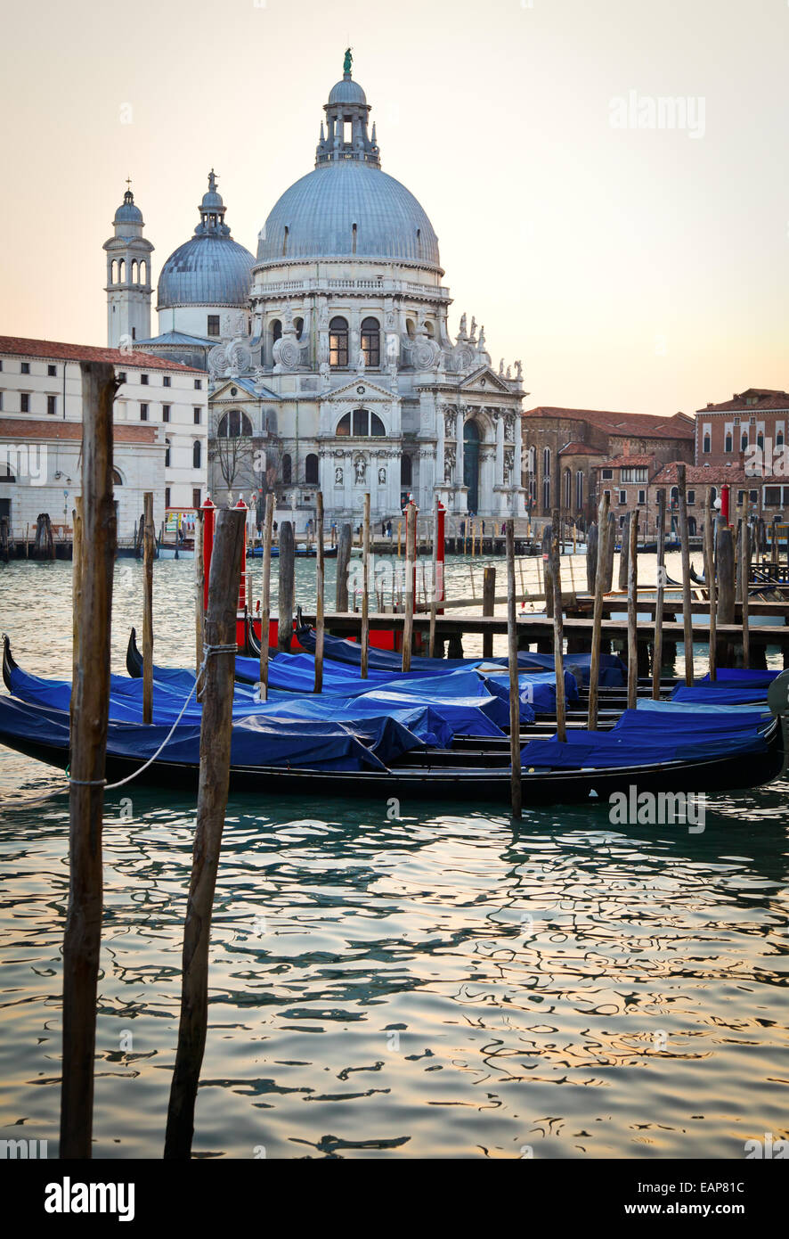 Les gondoles et basilique Santa Maria della Salute à Venise, Italie Banque D'Images
