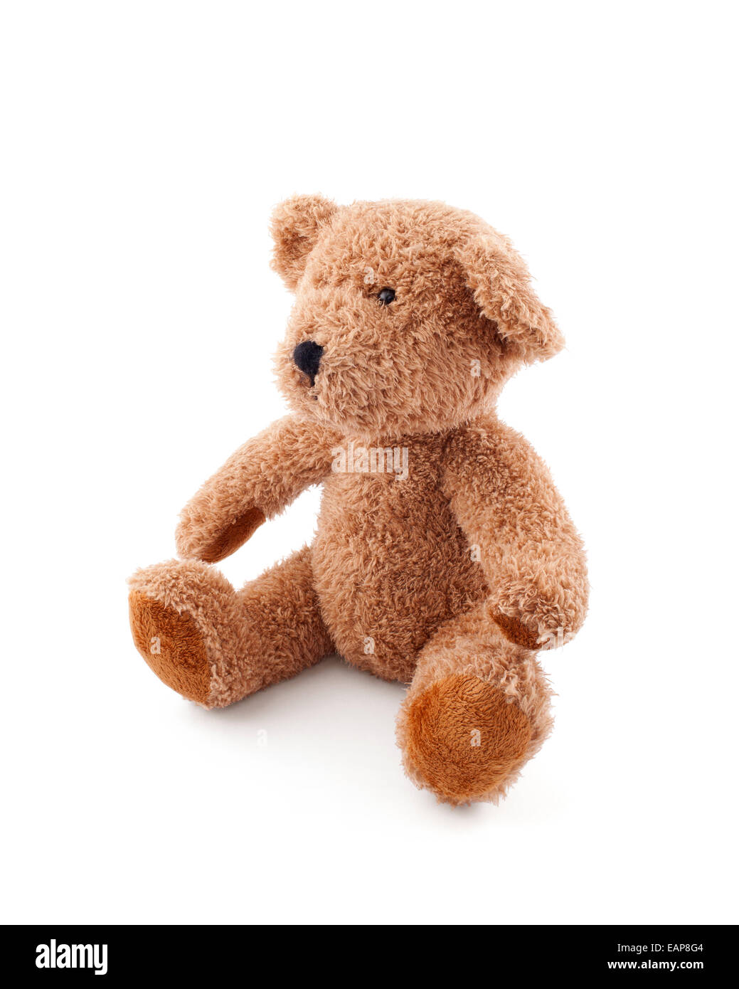 Ours en peluche brun sur fond blanc Banque D'Images
