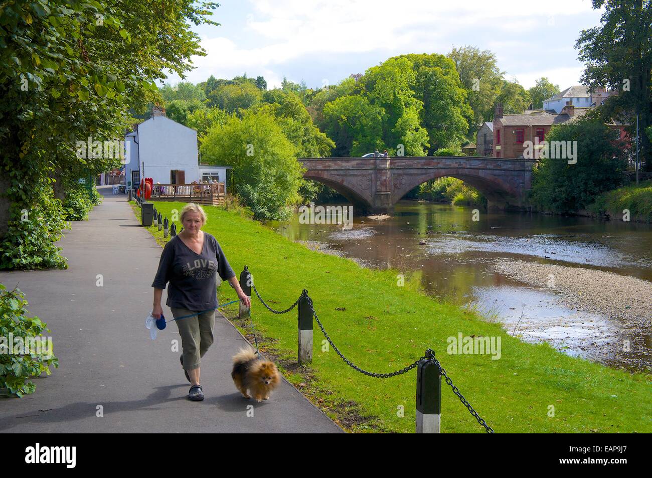 Woman walking dog sur le chemin le long de la rivière Eden. Appleby-in-Westmorland, Cumbria, Angleterre, Royaume-Uni. Banque D'Images