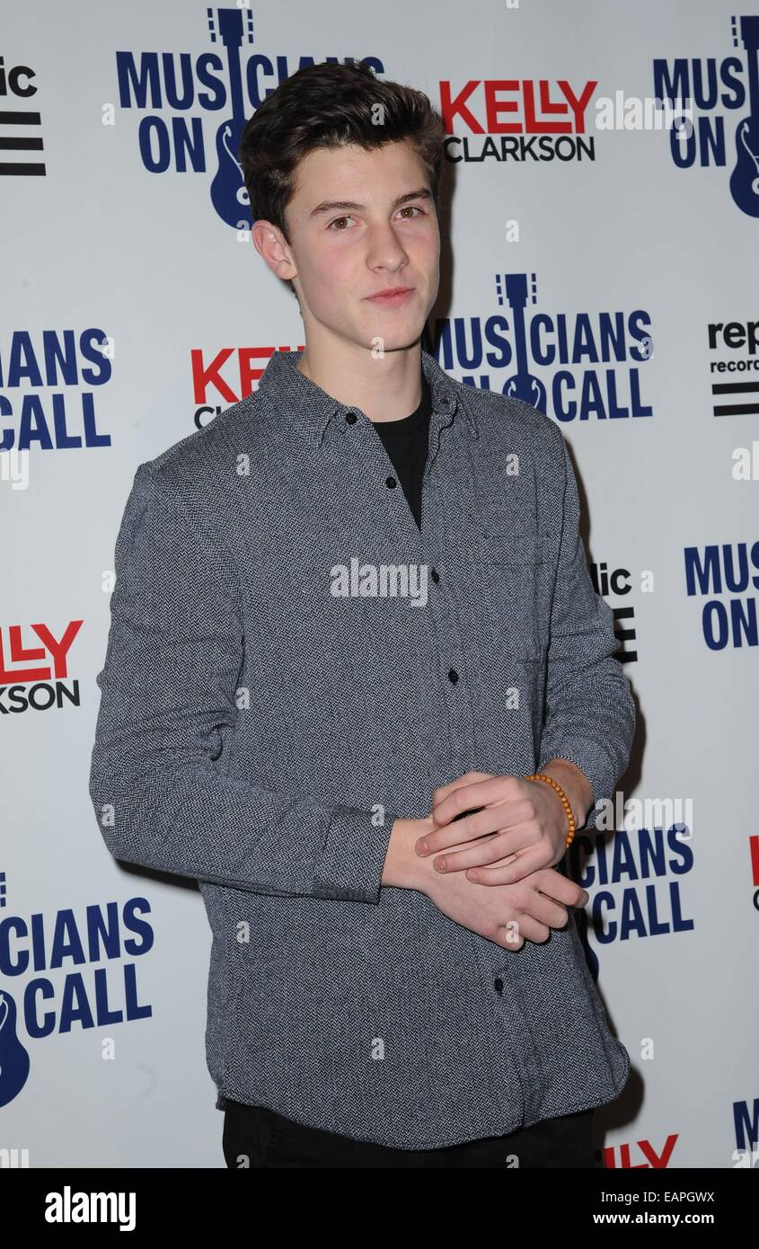 New York, NY, USA. 18 Nov, 2014. Shawn Mendes au niveau des arrivées pour les musiciens sur appel 15e anniversaire, Espace, New York, NY, 18 novembre 2014. Credit : Kristin Callahan/Everett Collection/Alamy Live News Banque D'Images