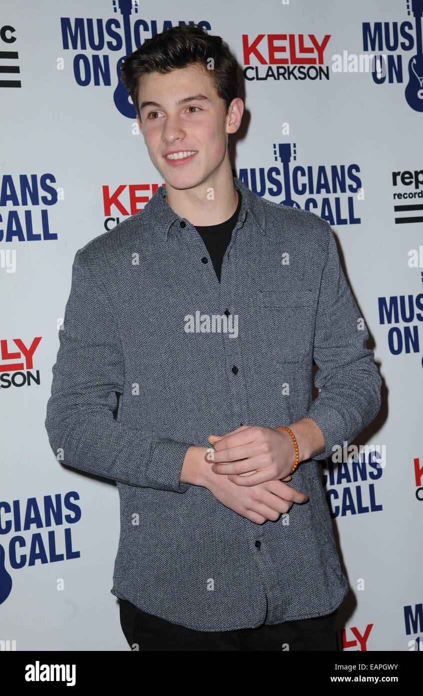 New York, NY, USA. 18 Nov, 2014. Shawn Mendes au niveau des arrivées pour les musiciens sur appel 15e anniversaire, Espace, New York, NY, 18 novembre 2014. Credit : Kristin Callahan/Everett Collection/Alamy Live News Banque D'Images