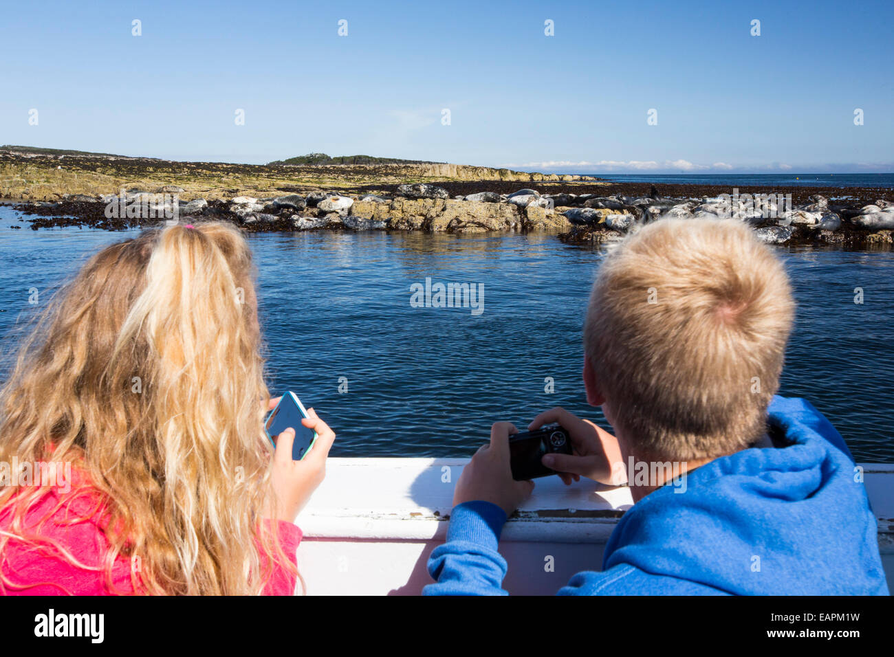 Regarder les touristes Phoques communs à partir d'un bateau pour les îles Farne, Northumberland, Angleterre. Banque D'Images
