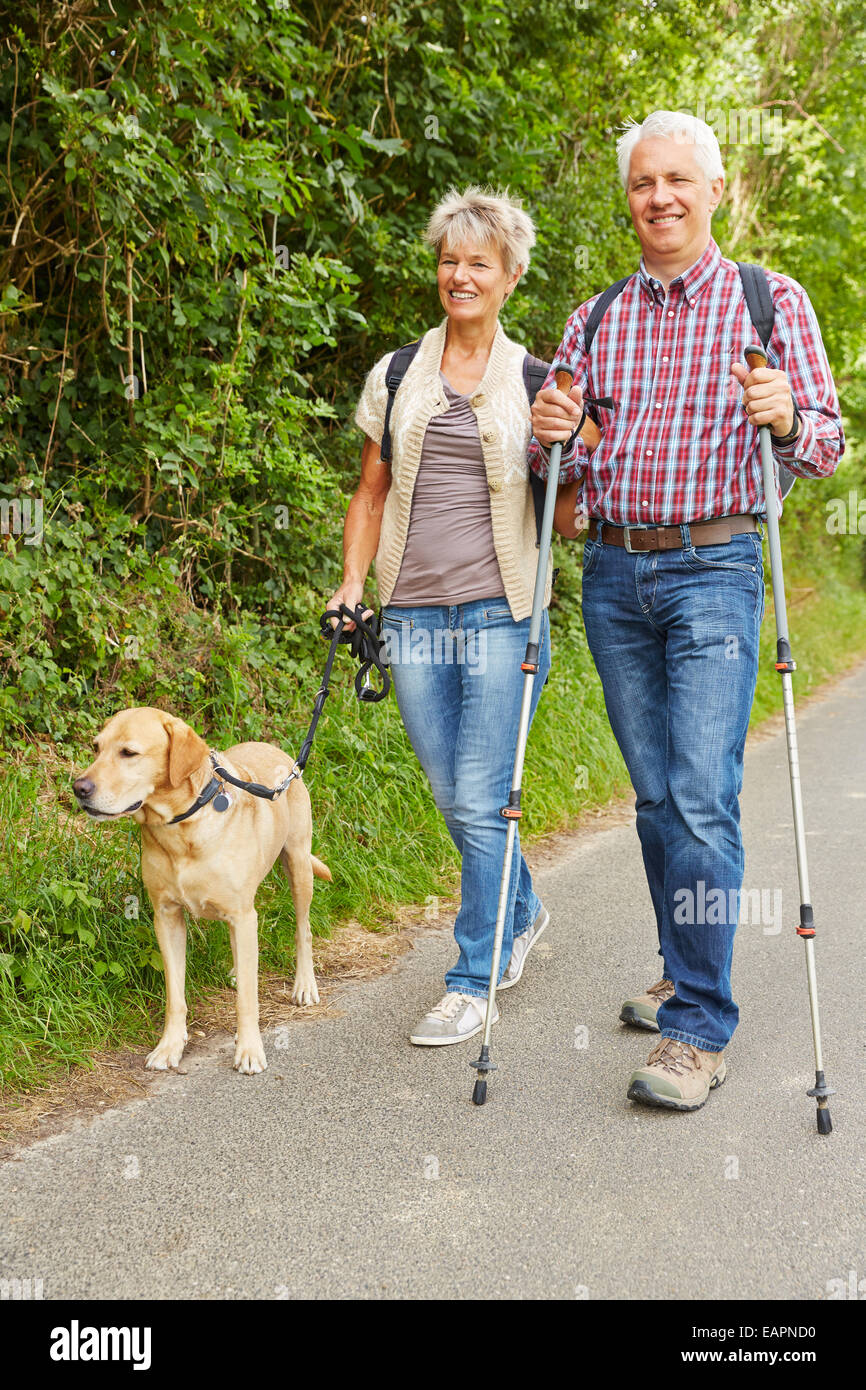 Une femme et un homme âgés la randonnée et Walking with dog in nature Banque D'Images