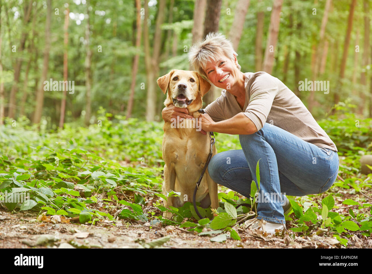 Labrador Retriever assis avec femme âgée dans une forêt Banque D'Images