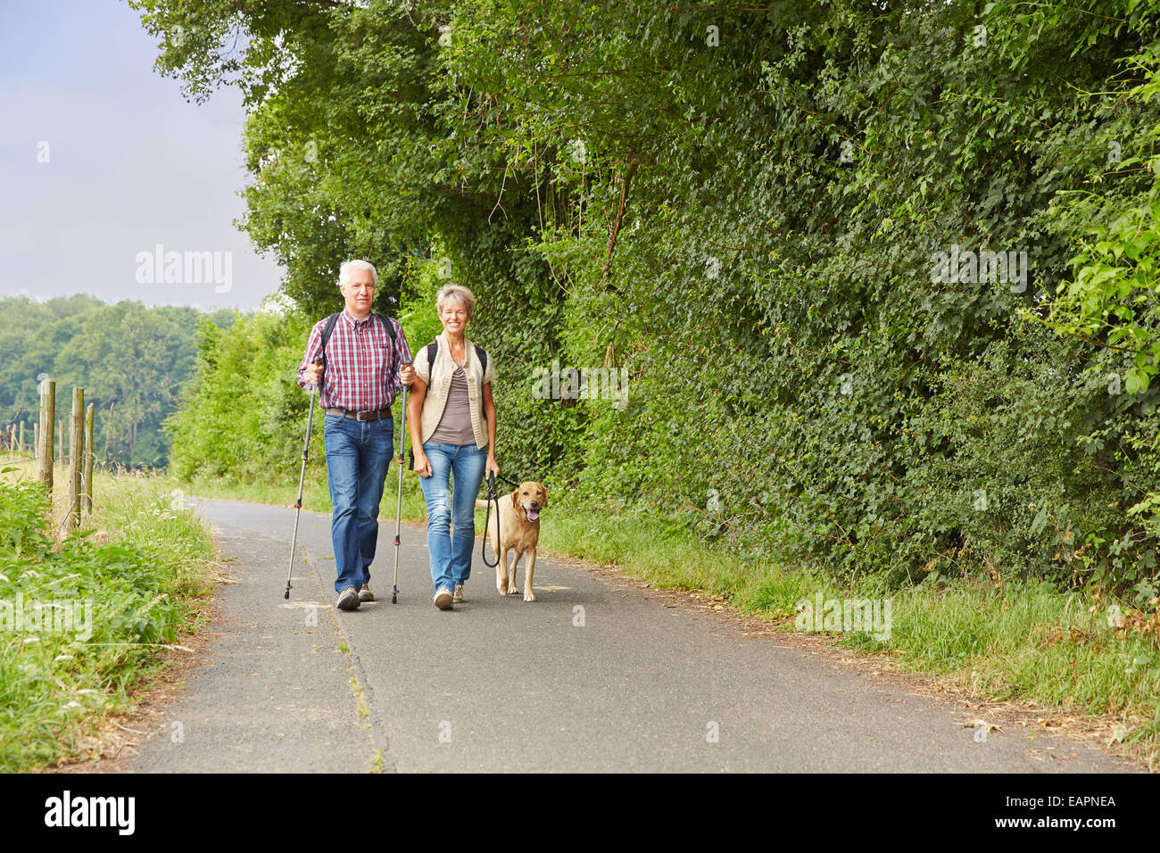 Senior couple promener le chien dans la nature en été Banque D'Images