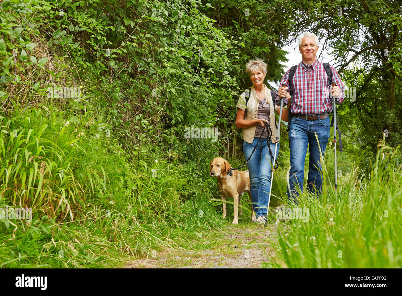 Happy senior couple walking with dog sur un sentier de randonnée Banque D'Images