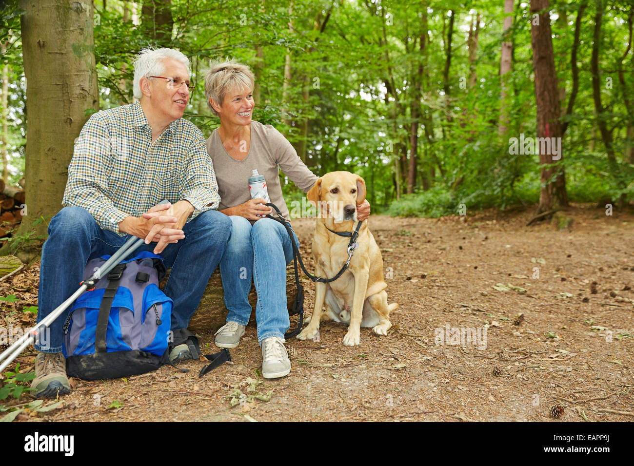 Happy senior couple avec chien en prenant une pause dans une forêt Banque D'Images