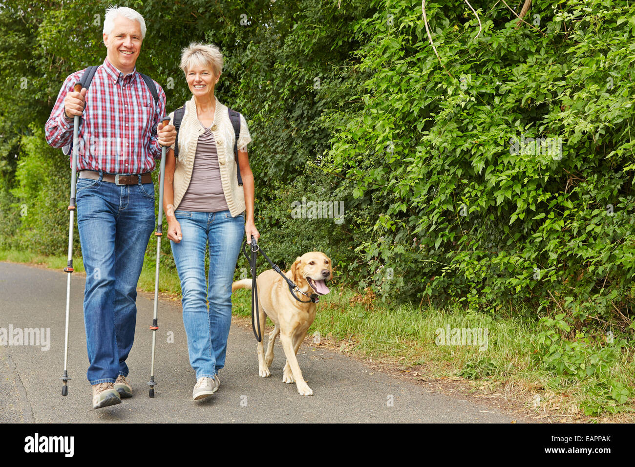 Happy senior couple randonnées avec le labrador retriever dog en été Banque D'Images