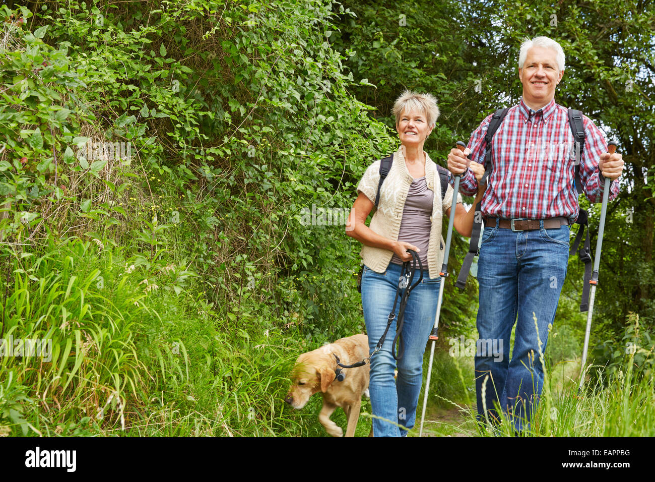 La femme et l'homme à marcher ensemble avec le chien dans la nature en été Banque D'Images
