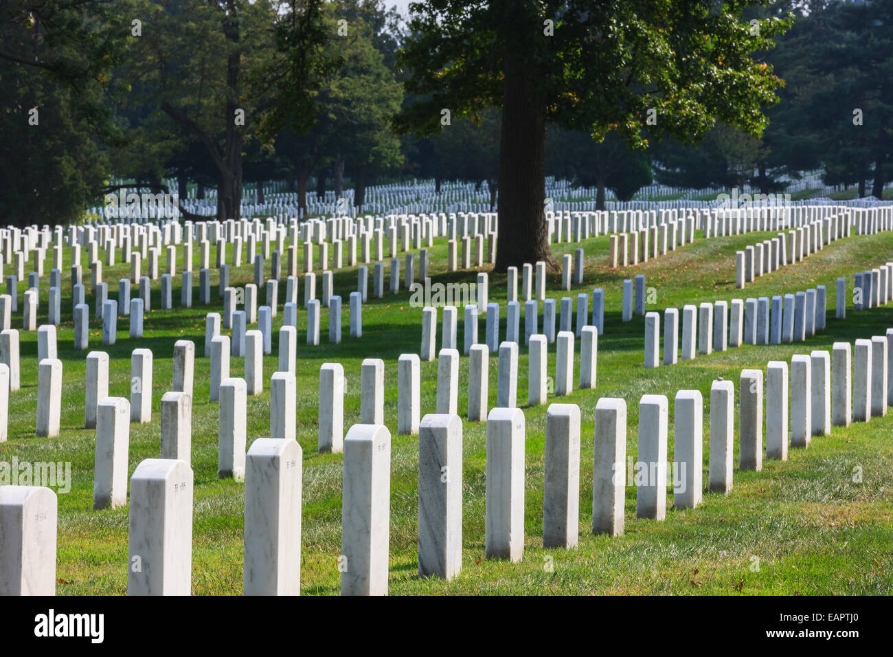 Le Cimetière National d'Arlington, Virginie, États-Unis Banque D'Images