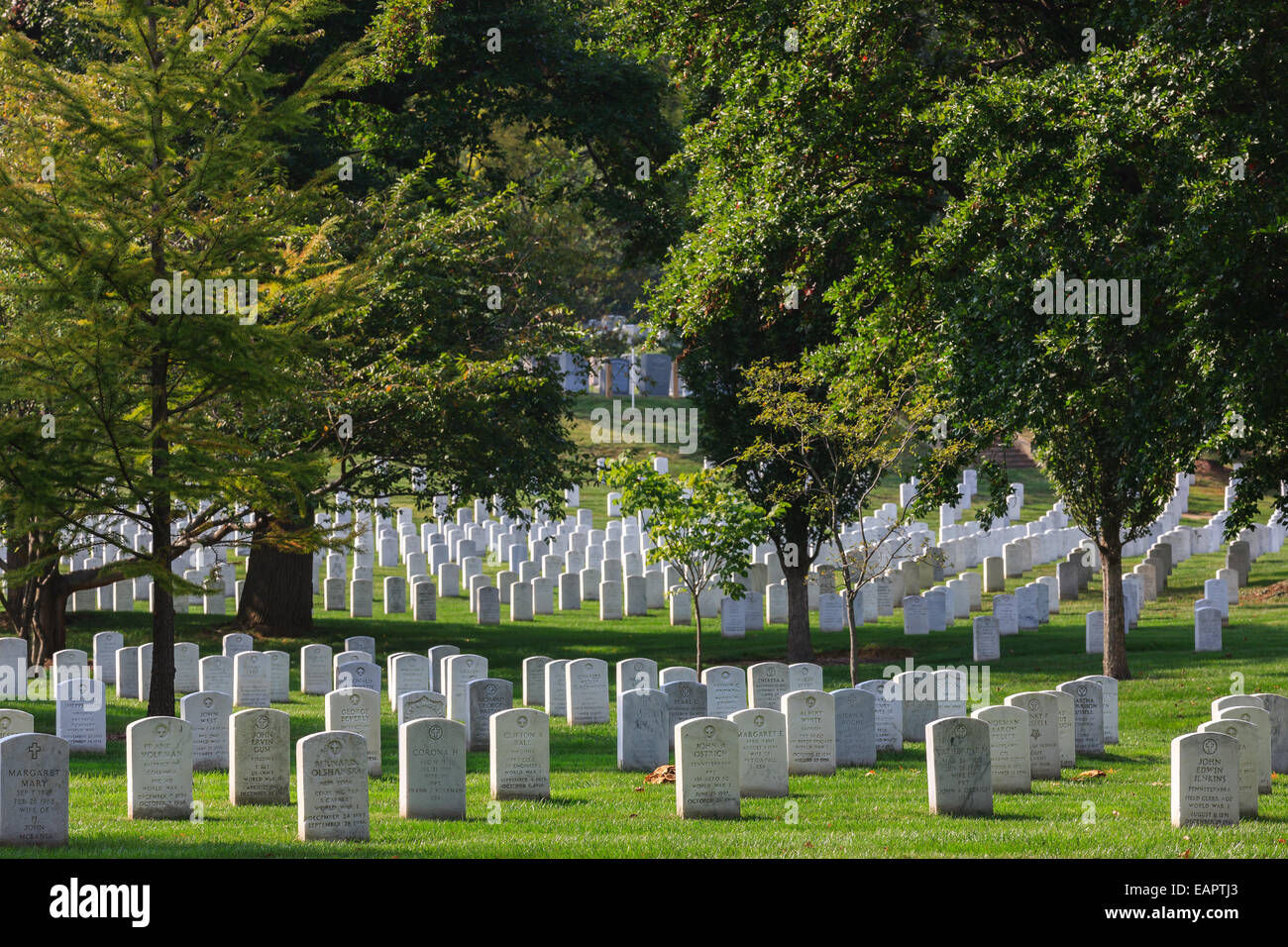 Le Cimetière National d'Arlington, Virginie, États-Unis Banque D'Images