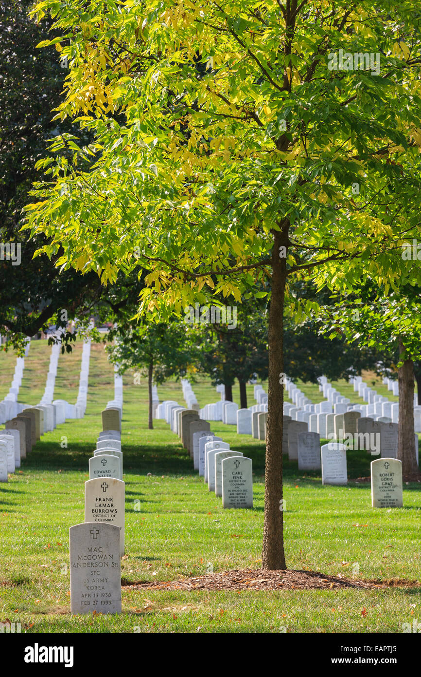 Le Cimetière National d'Arlington, Virginie, États-Unis Banque D'Images