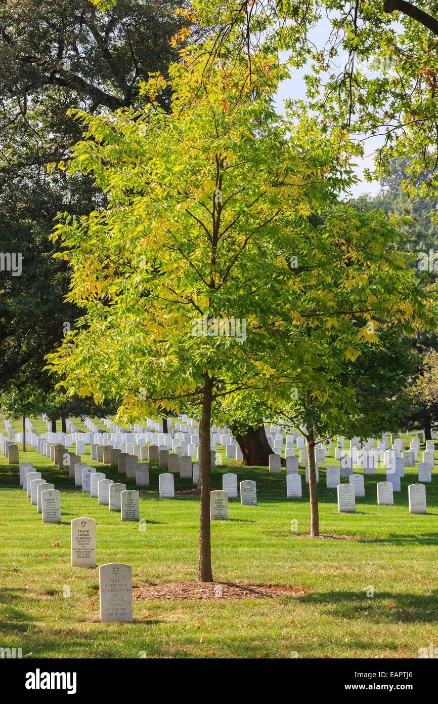 Le Cimetière National d'Arlington, Virginie, États-Unis Banque D'Images