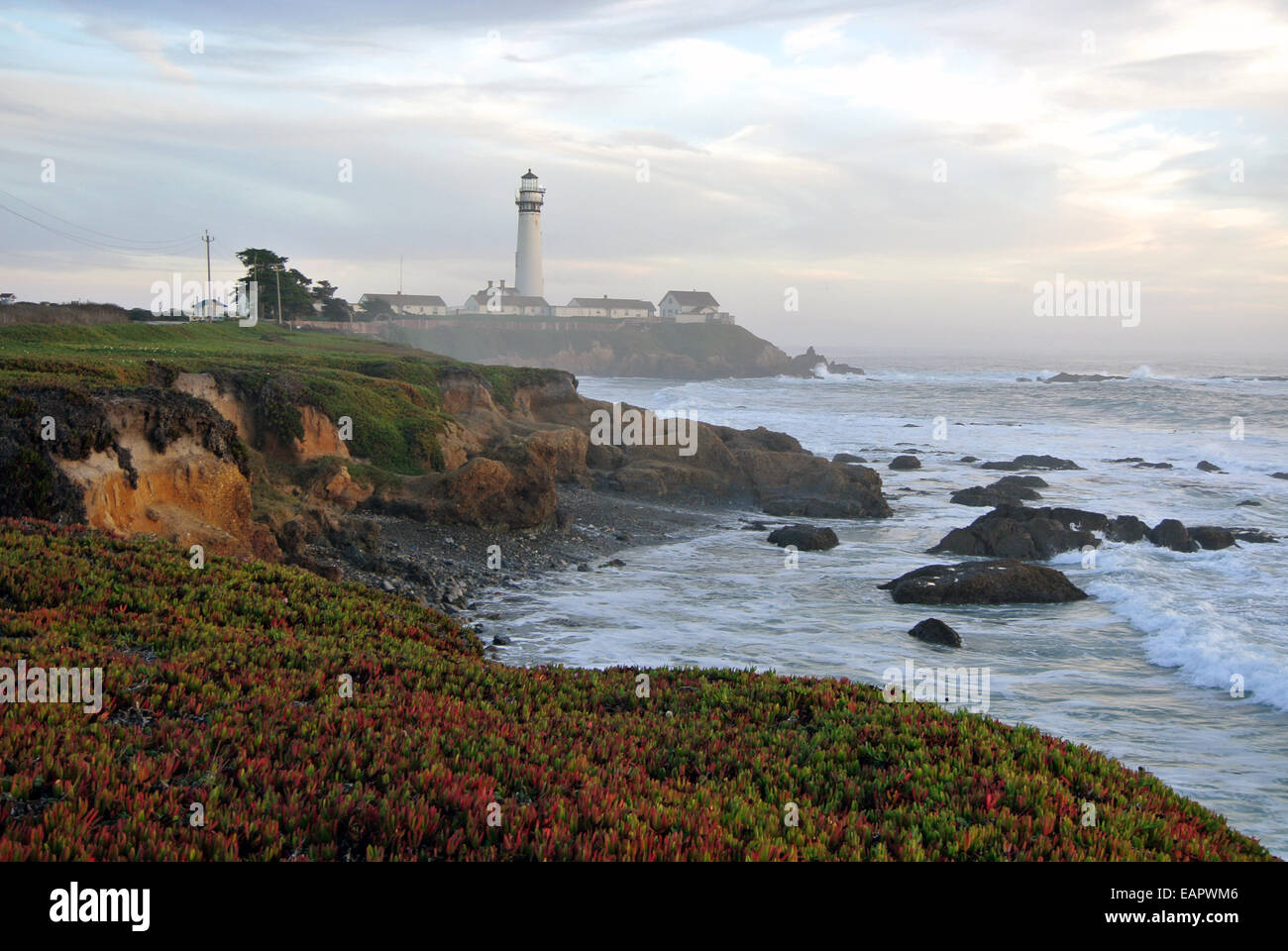 Journée brumeuse à Pigeon Point Lighthouse sur la côte nord de la Californie Banque D'Images