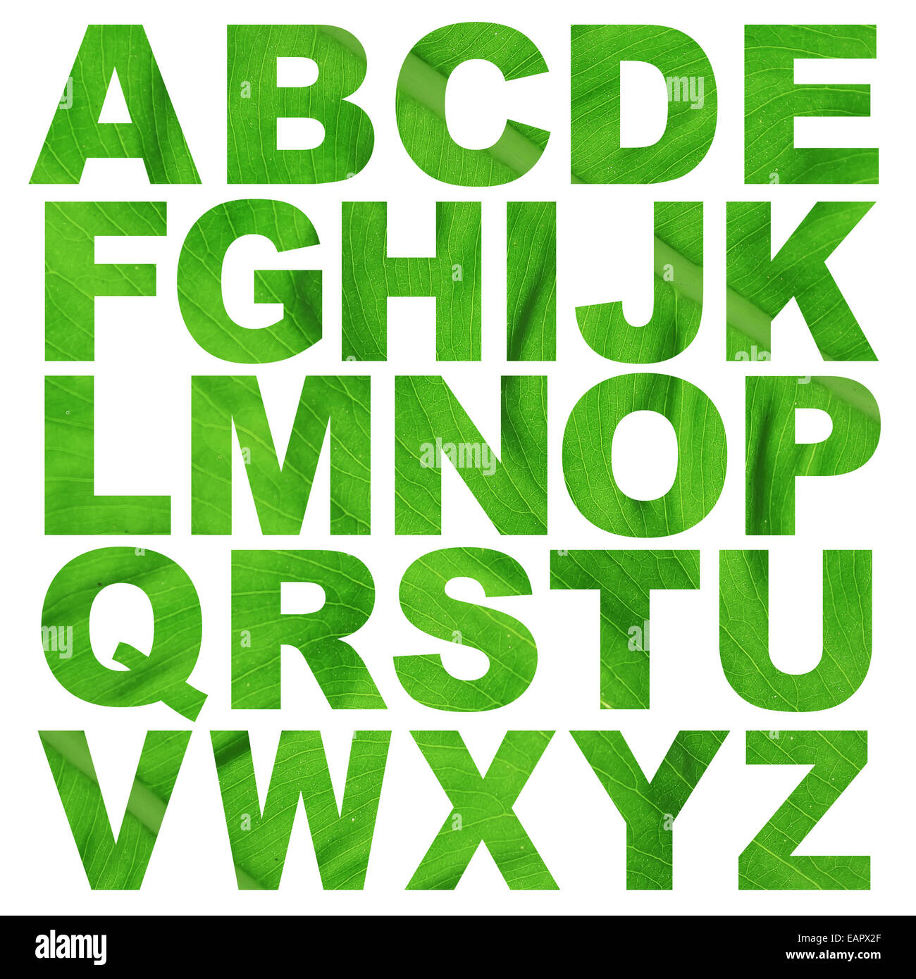 Alphabet a à z faites à partir de la texture de la feuille fine photo Banque D'Images