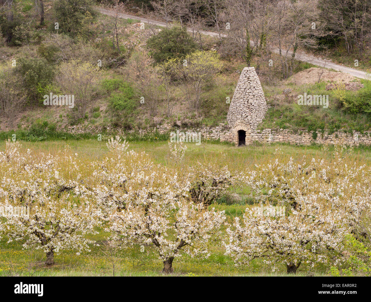 Borie en pierre dans un mur de pierre du verger. Une grande cabane en pierre maintenant utilisé pour stocker du matériel agricole dans le mur en pierre sèche autour d'une fleur Banque D'Images