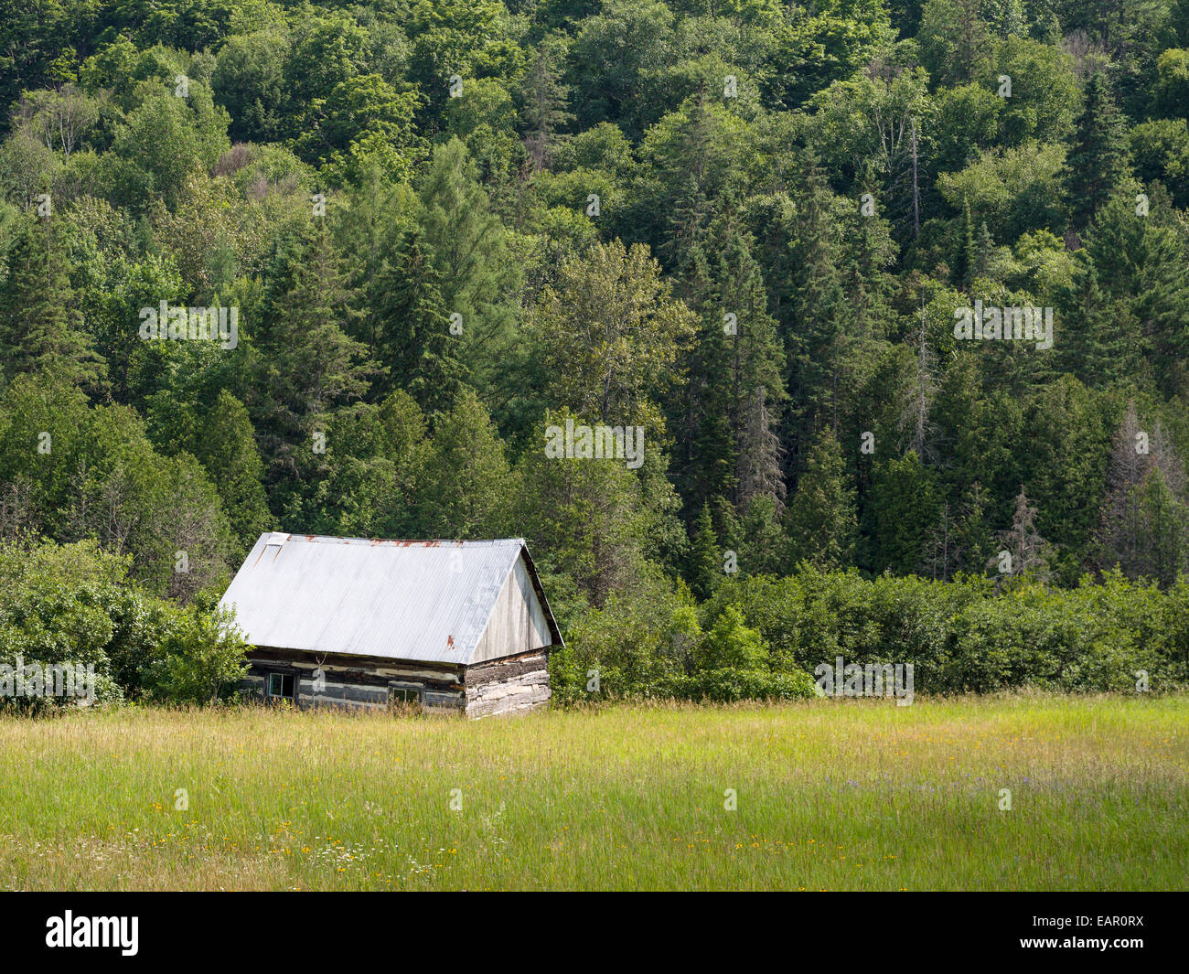 Cabane isolée dans les bois. Tommy's Cabin au bord d'une pente boisée
