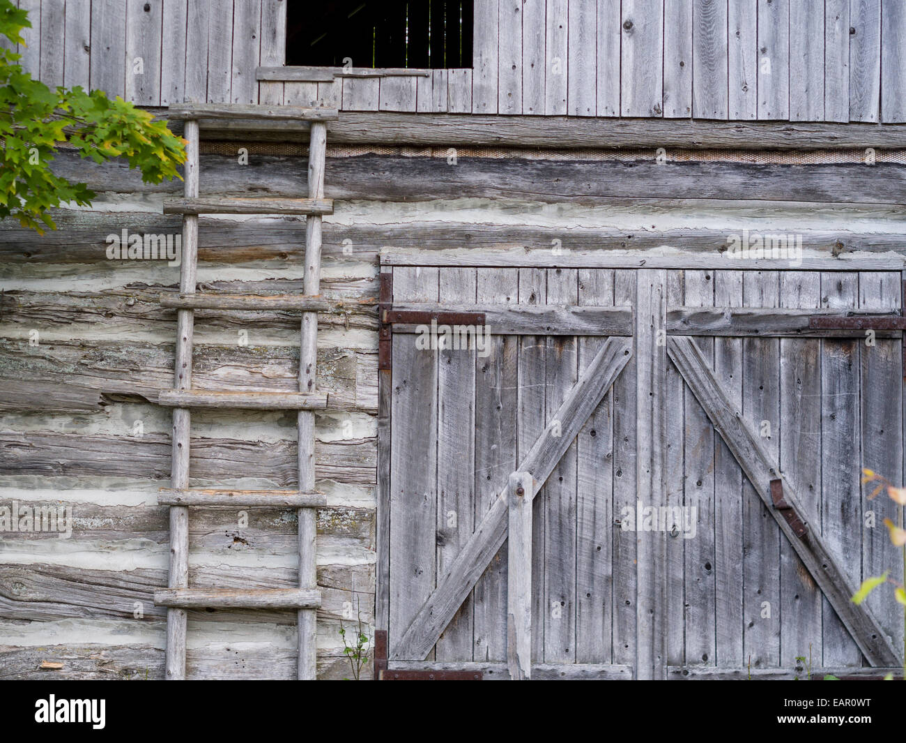 Weathered barn journal avec loft échelle. Un vieux journal patiné grange a une échelle fixée pour l'accès à un loft ouvert la porte. Mont Ste M Banque D'Images