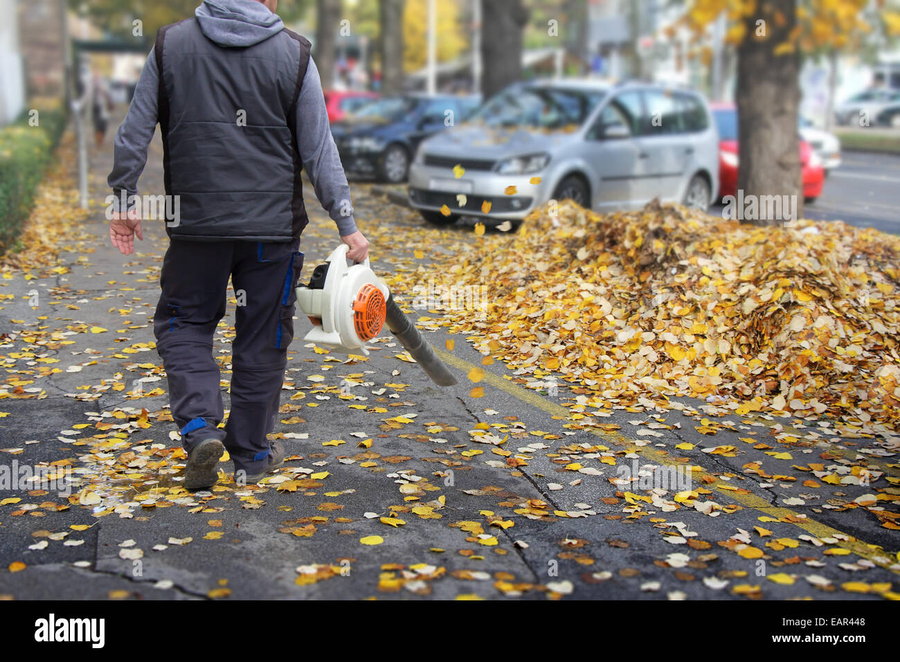 Travailleur sur une rue à l'automne recueille les feuilles avec la souffleuse à feuilles Banque D'Images