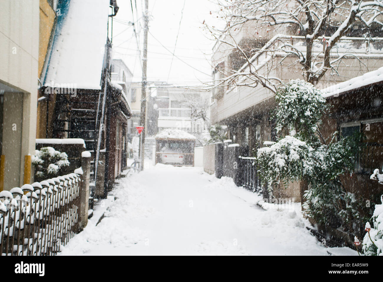 La neige à Tokyo, Japon Banque D'Images