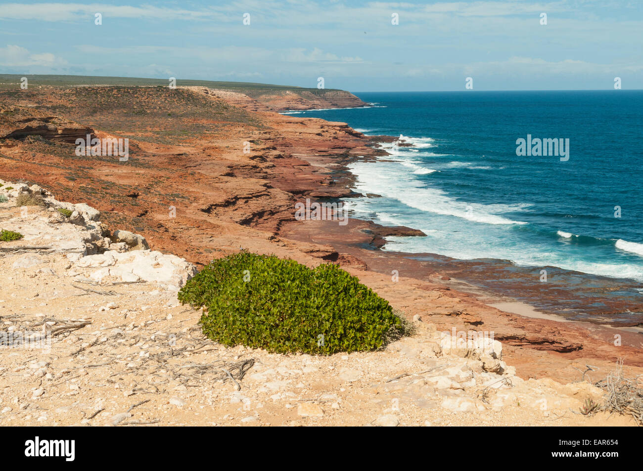 Vue sud de Red Bluff, Kalbarri NP, WA, Australie Banque D'Images