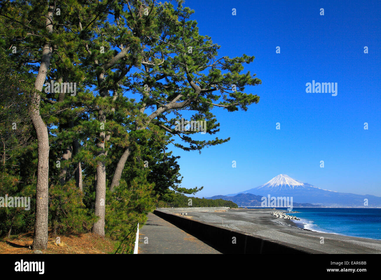 Préfecture de Shizuoka, Japon Banque D'Images
