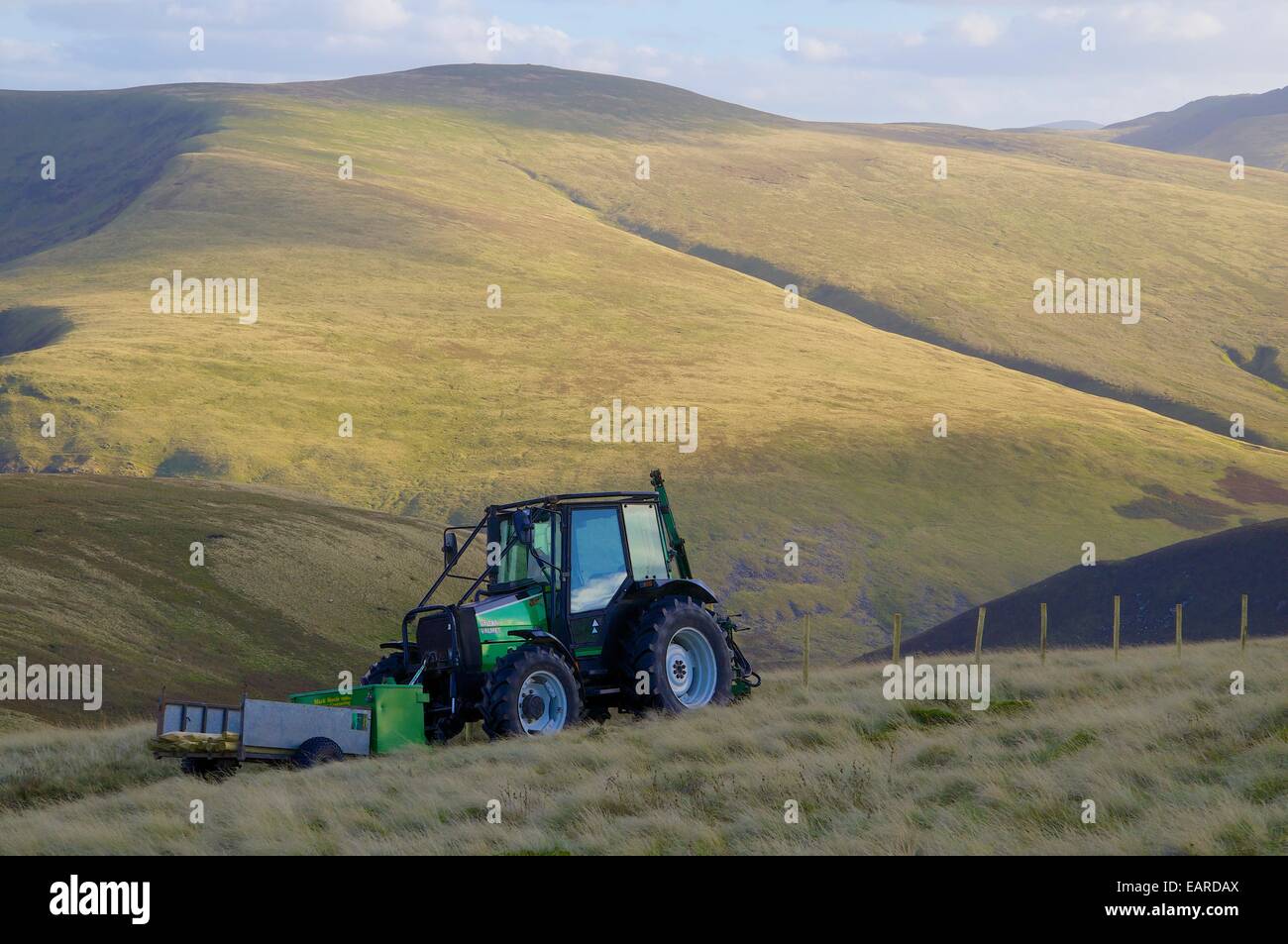 Tracteur transportant des poteaux de clôture impliqués dans les travaux d'escrime. Mitton Hill, a chuté, Carrock Cumbria, Angleterre, Royaume-Uni. Banque D'Images