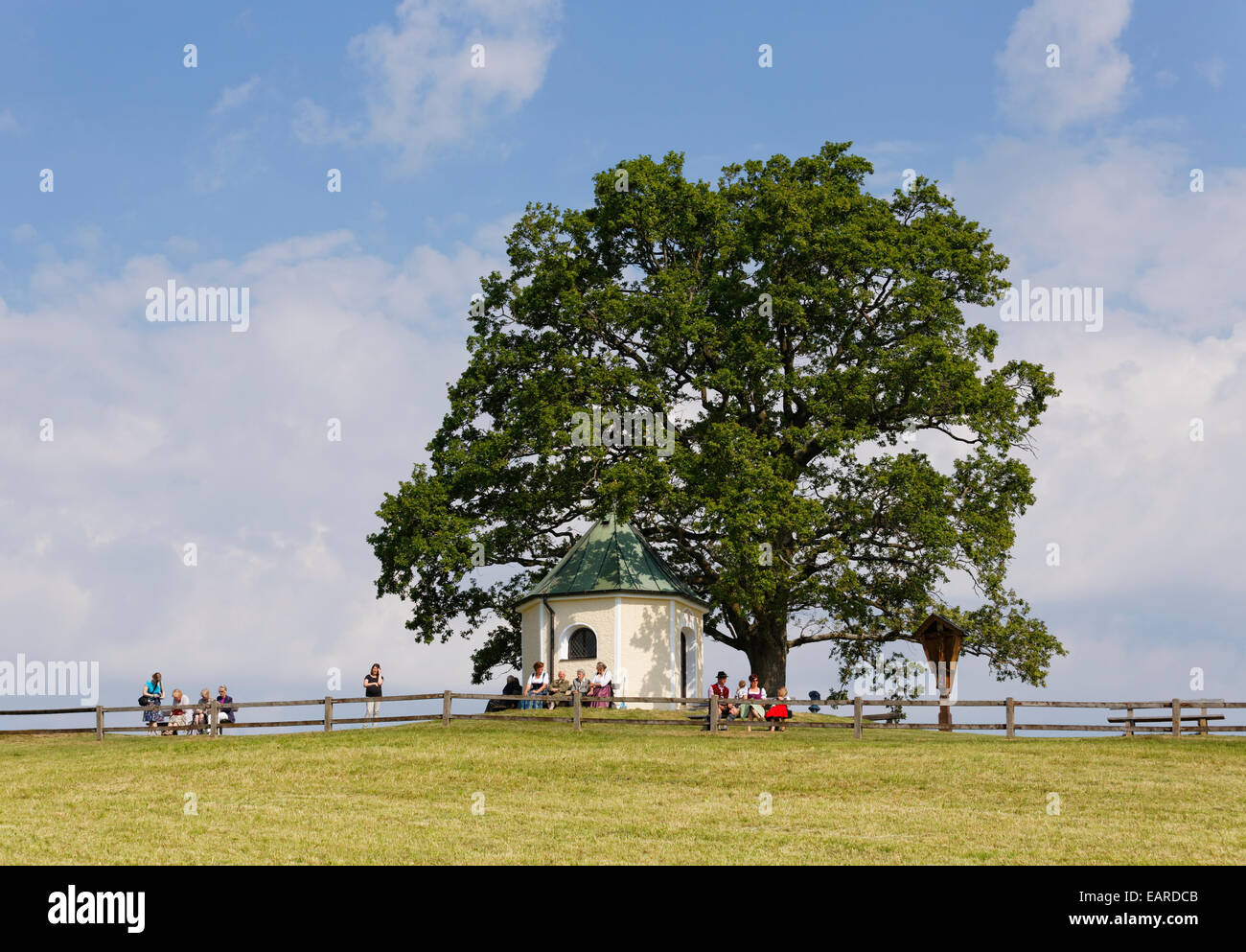 Aussichtskapelle ou regarder dehors chapelle, avec Luitpold Oak tree, près de Törwang, Samerberg, Chiemgau, Haute-Bavière, Bavière, Allemagne Banque D'Images