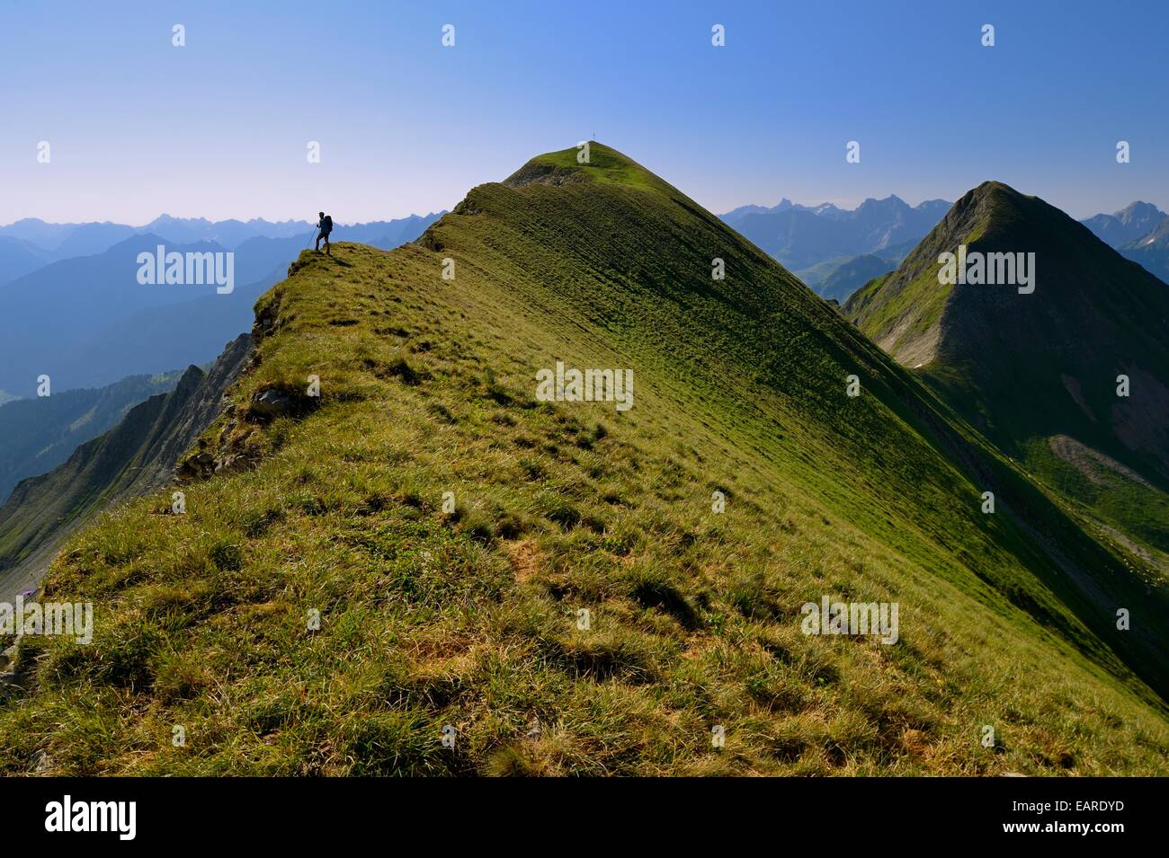 Sur l'herbe de l'alpiniste crête du sommet de la montagne Großer Krottenkopf, Allgäuer Alpen, Tyrol, Autriche Banque D'Images
