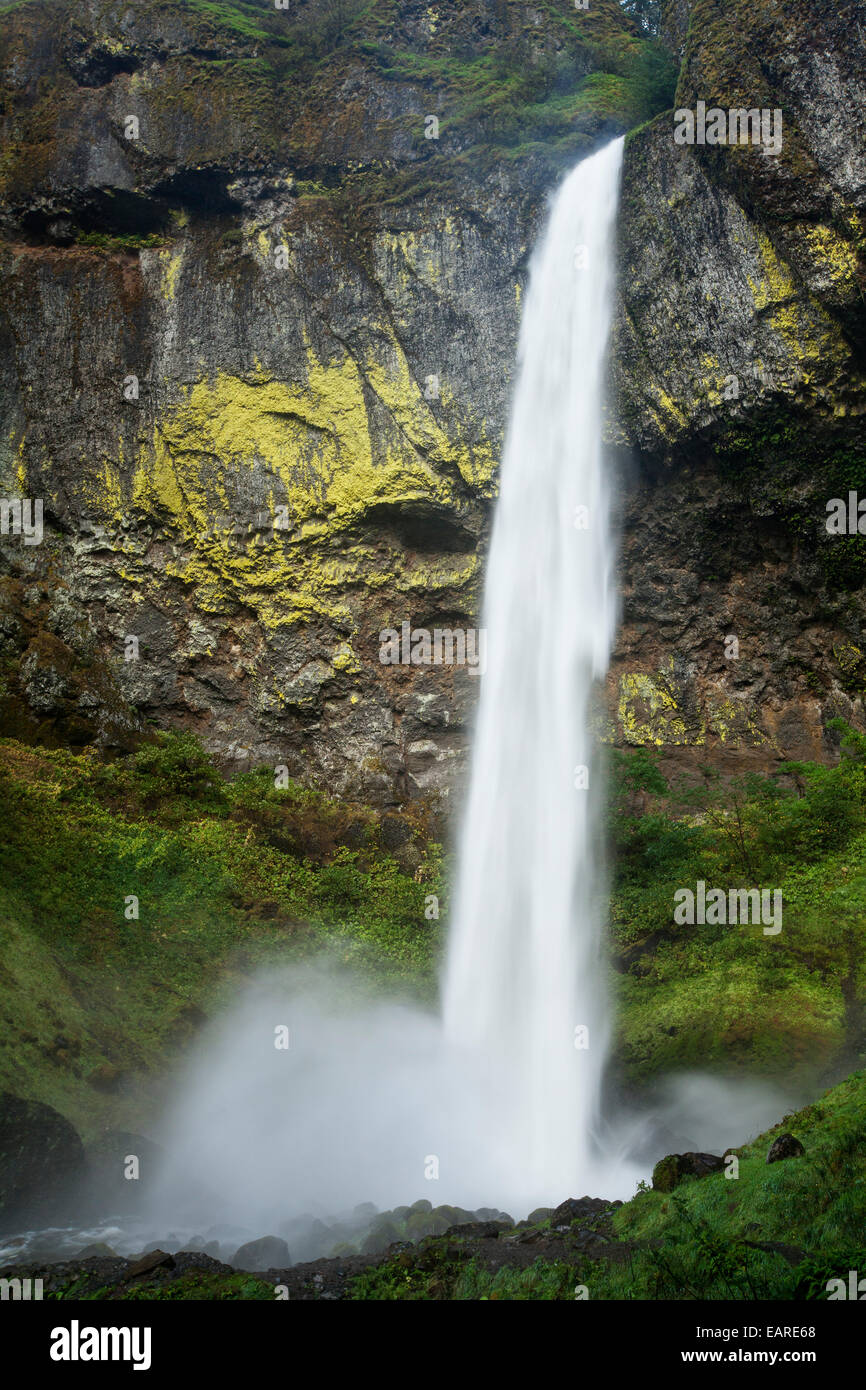Elowah falls, Columbia River Gorge, Portland, Oregon, united states Banque D'Images