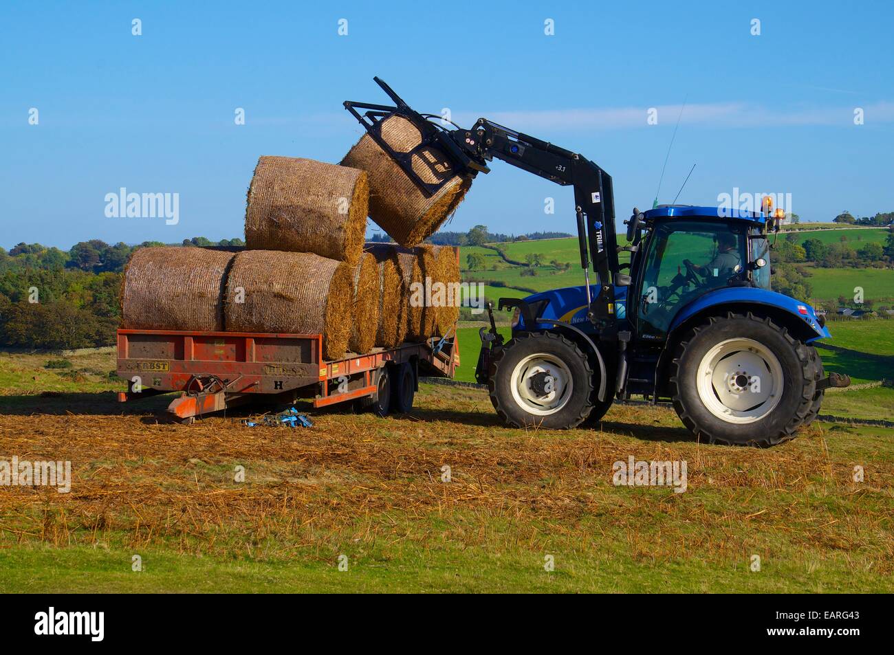 Bracken Bails étant chargée sur une remorque par tracteur. Carrock est tombé, le Lake District, Cumbria, England, UK. Banque D'Images
