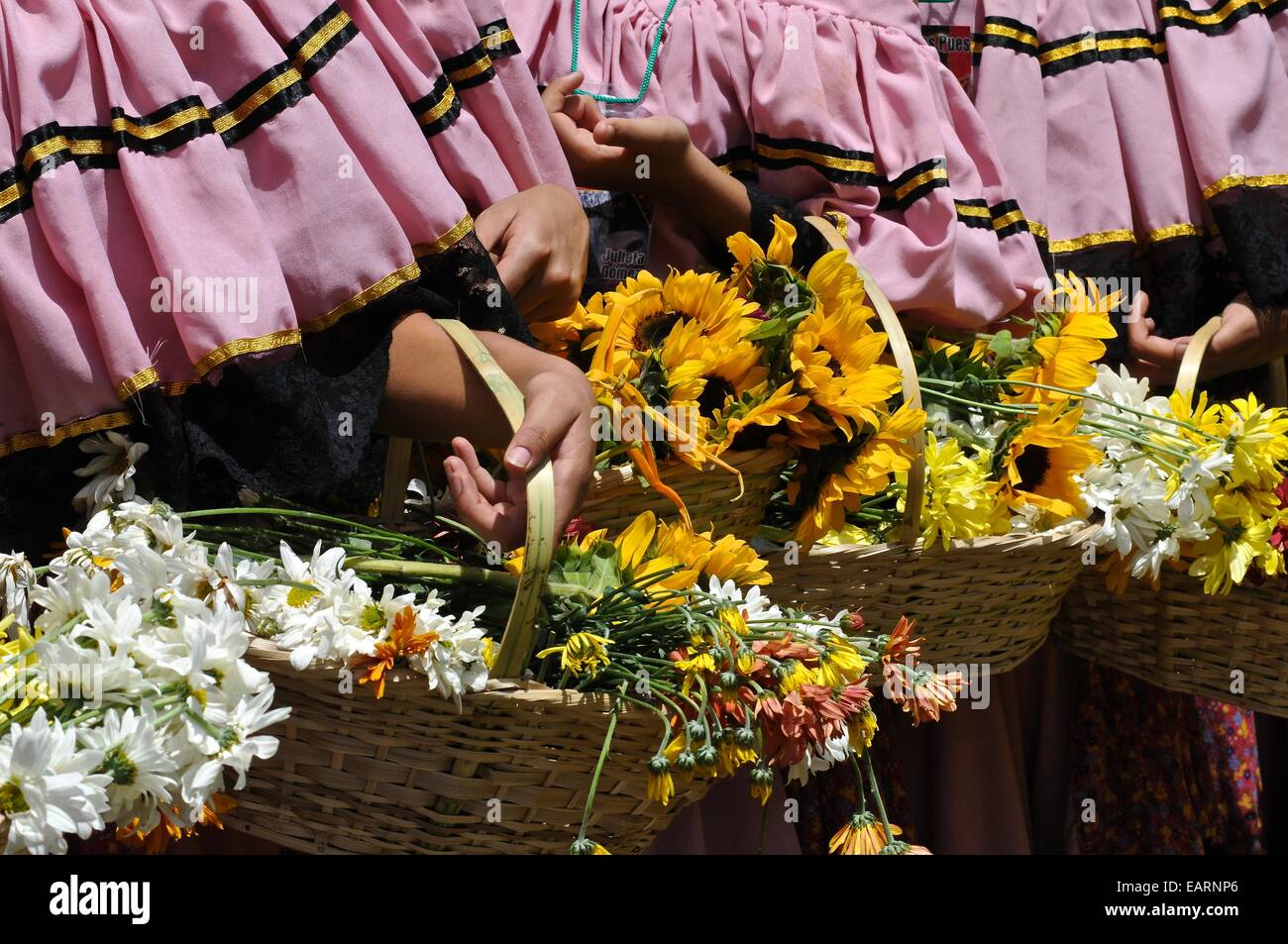 Silleteros paniers de fleurs pour faire la fête des fleurs parade. Banque D'Images