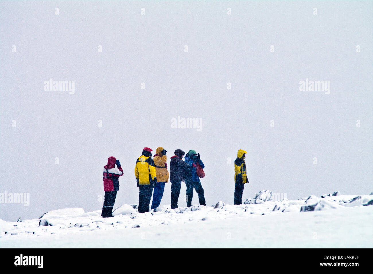 Attendre les touristes à suivre un ornithologiste guide à travers un blizzard. Banque D'Images