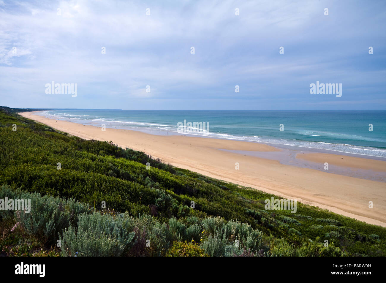 Une vaste plage de sable fin de l'arbre à thé fronts scrubbing sur dunes de sable côtières. Banque D'Images