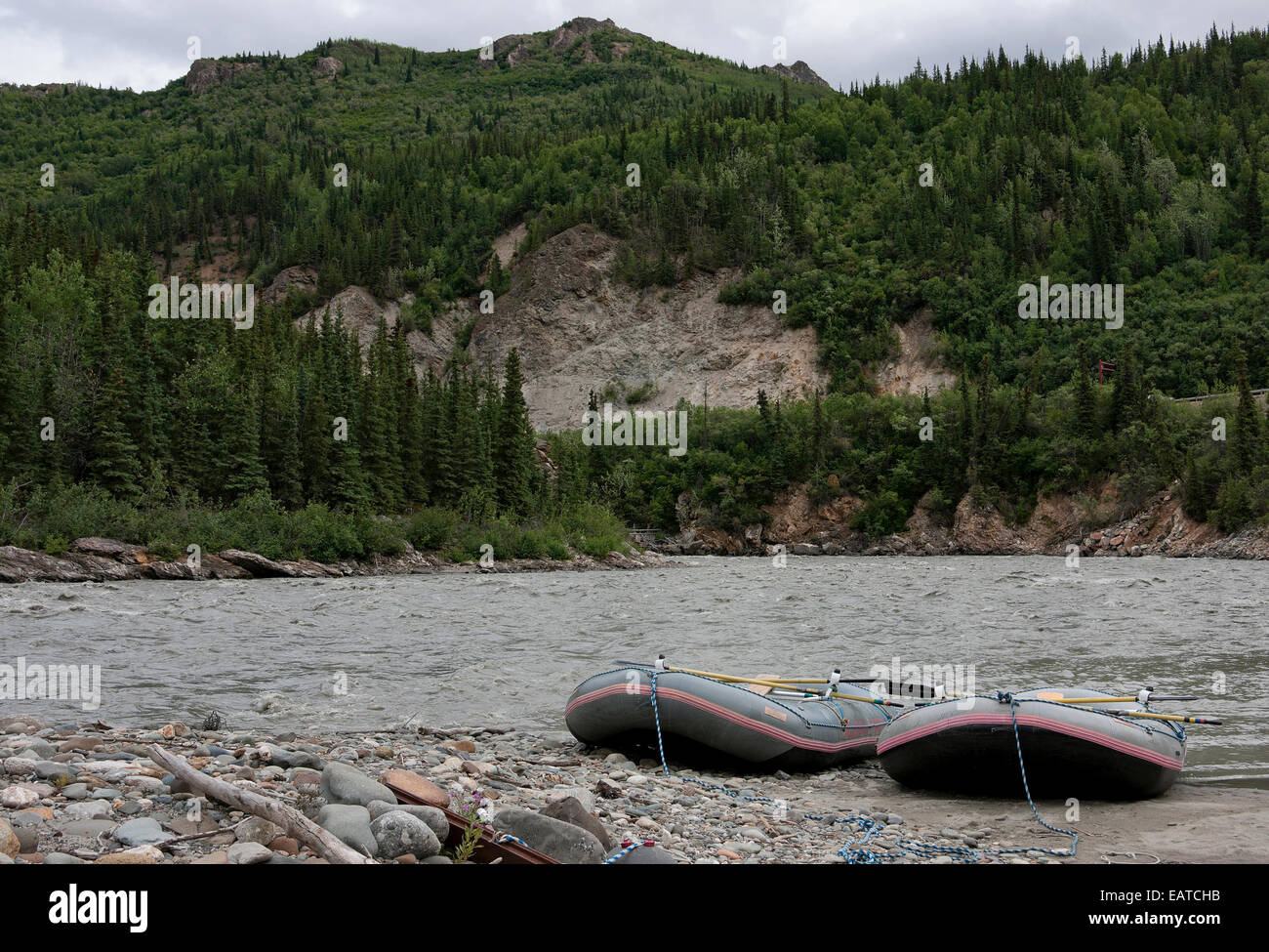 Wild water rafting Denali en Alaska - Banque D'Images