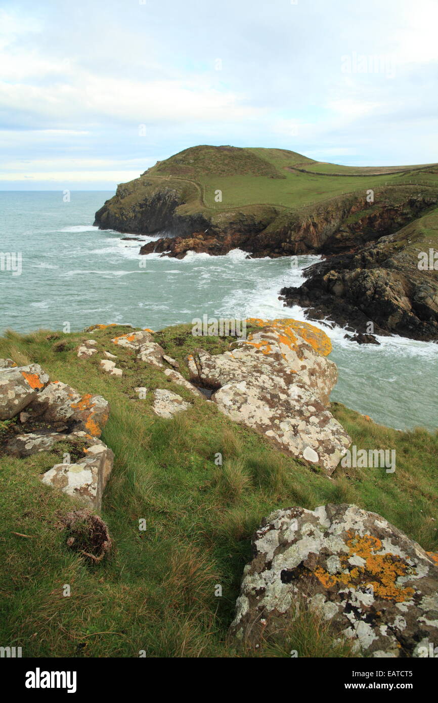 Kellan Head, Port Quin, North Cornwall, England, UK Banque D'Images