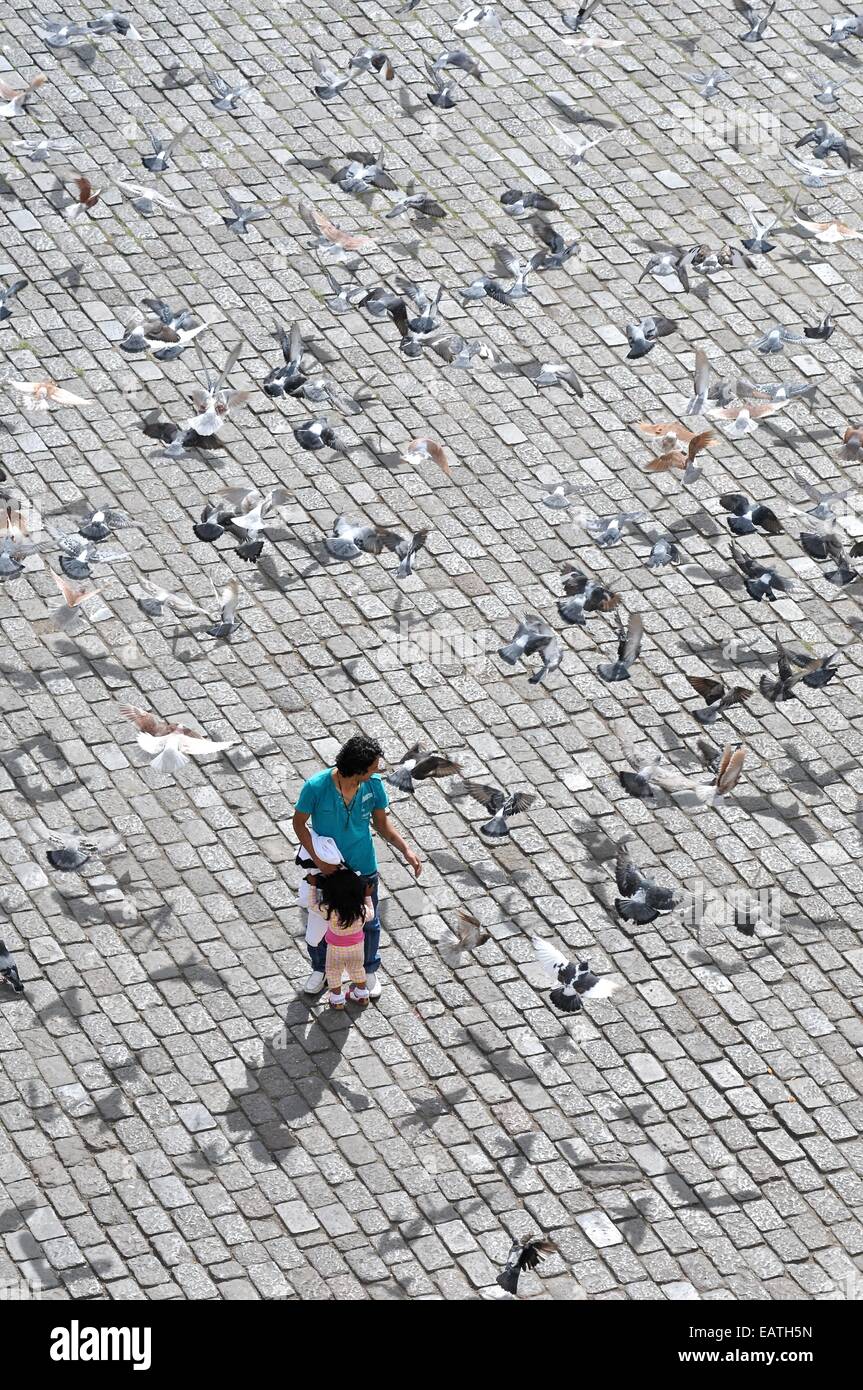 Le confort d'un homme sa fille, qui a peur des pigeons. Banque D'Images