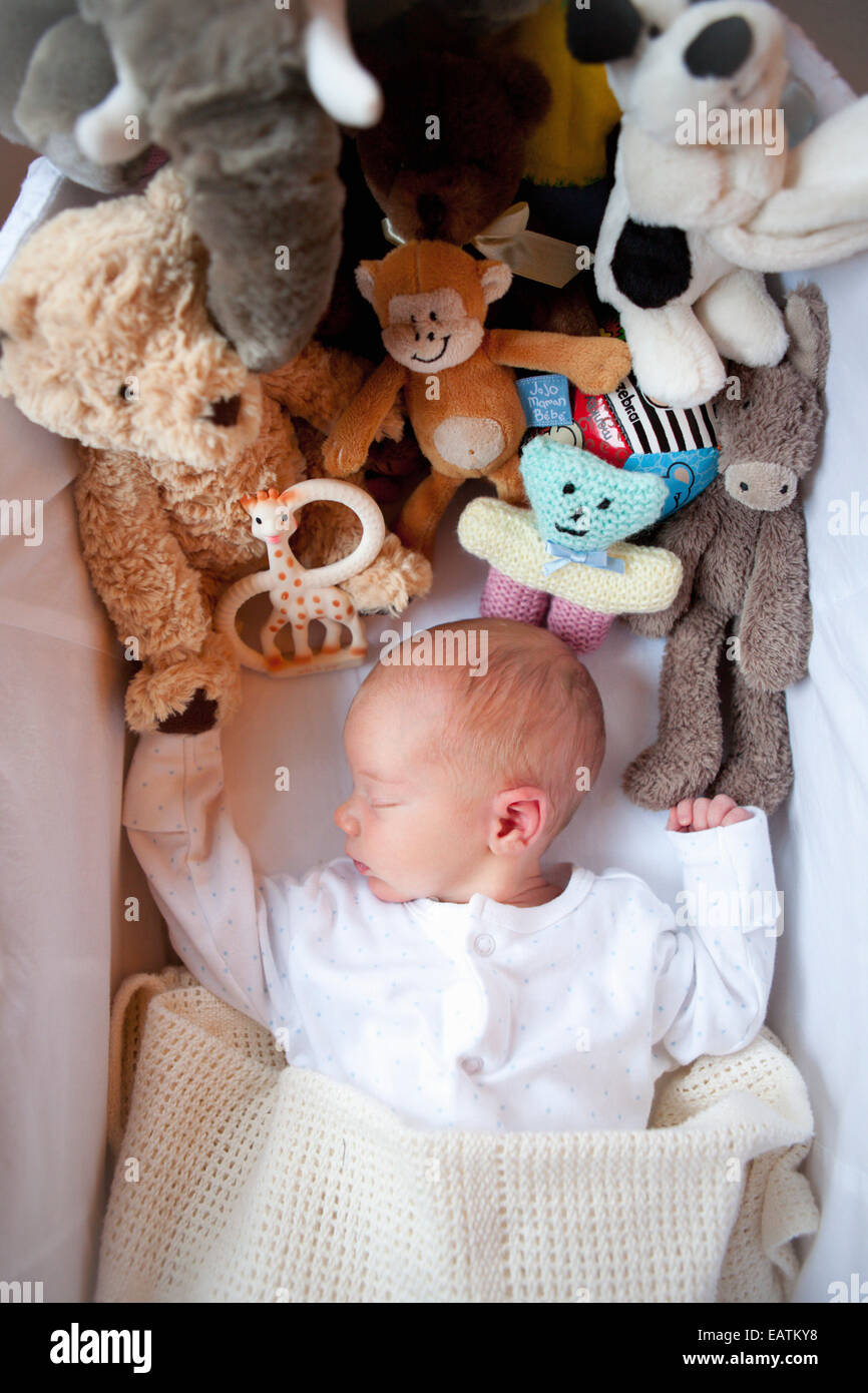 Bebe Garcon Dormir Dans Un Couffin Avec Beaucoup De Jouets Photo Stock Alamy