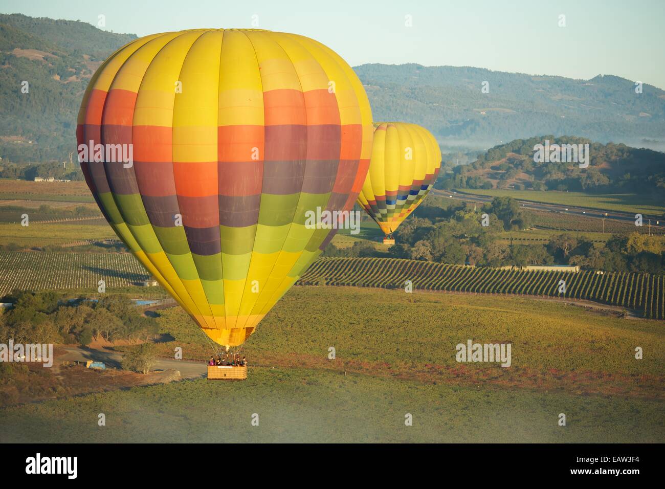 La montgolfière dans la Napa Valley, Californie vin célèbre du pays. Banque D'Images