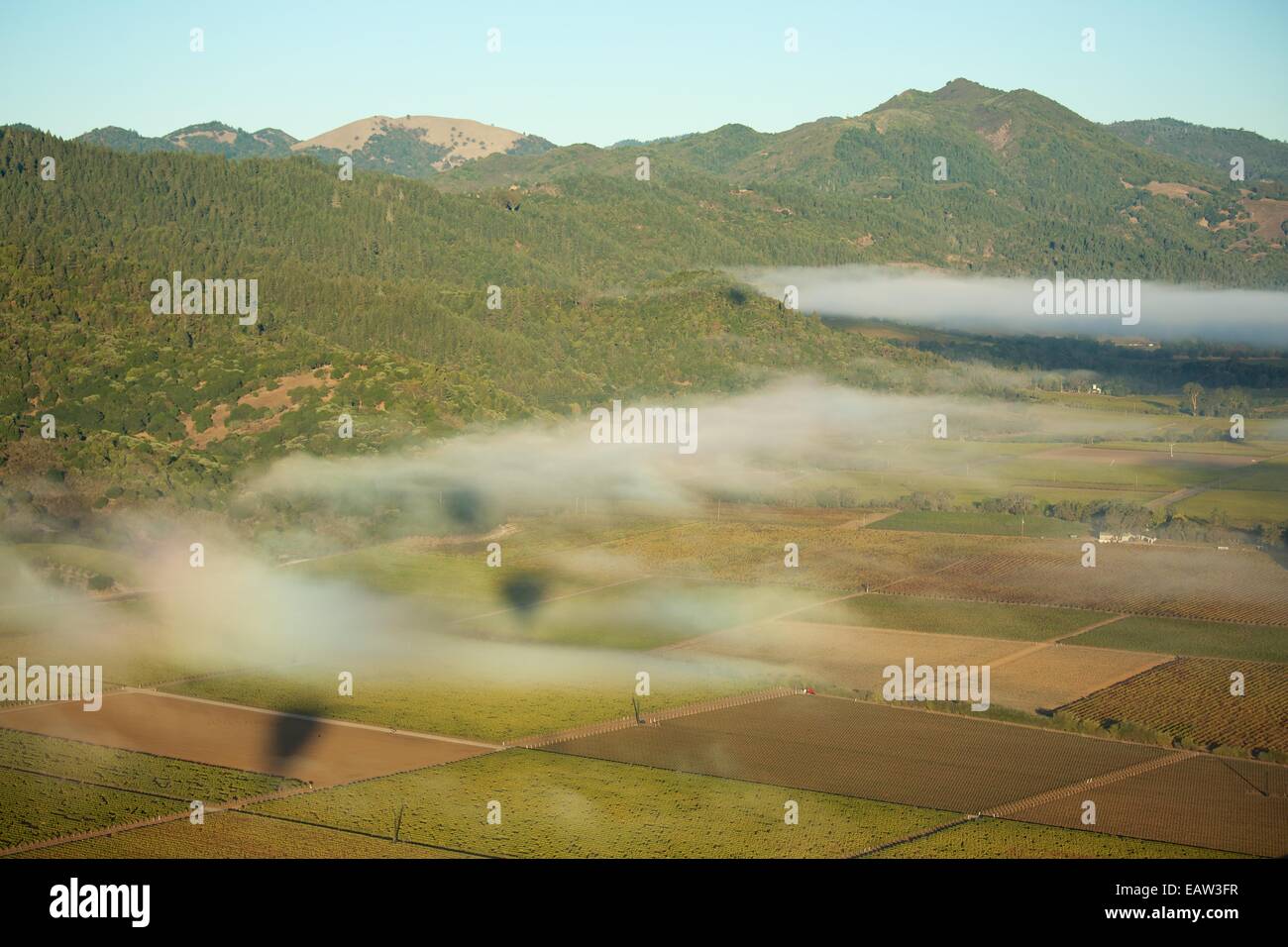 La montgolfière dans la Napa Valley, Californie vin célèbre du pays. Banque D'Images