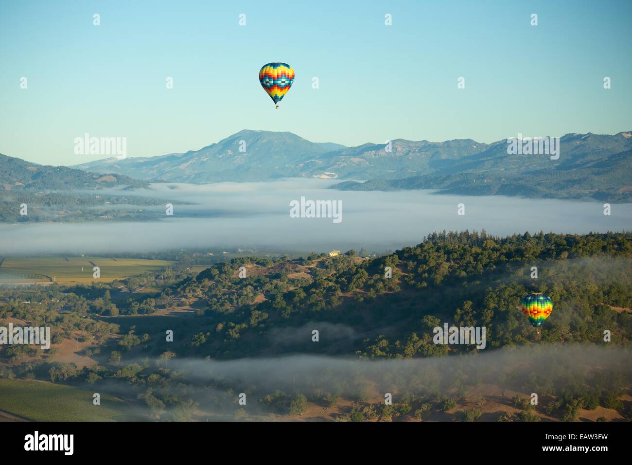 La montgolfière dans la Napa Valley, Californie vin célèbre du pays. Banque D'Images