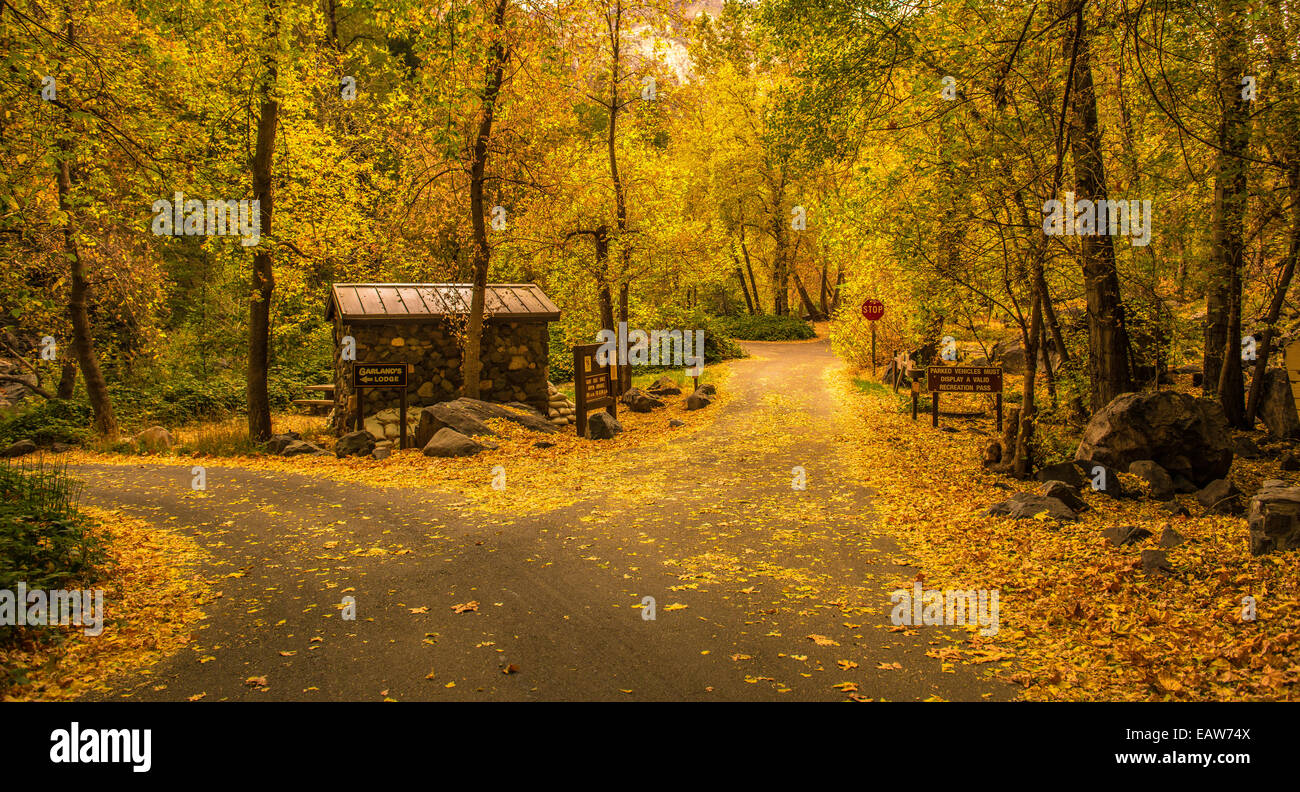 Chemin d’accès à l’automne Banque D'Images
