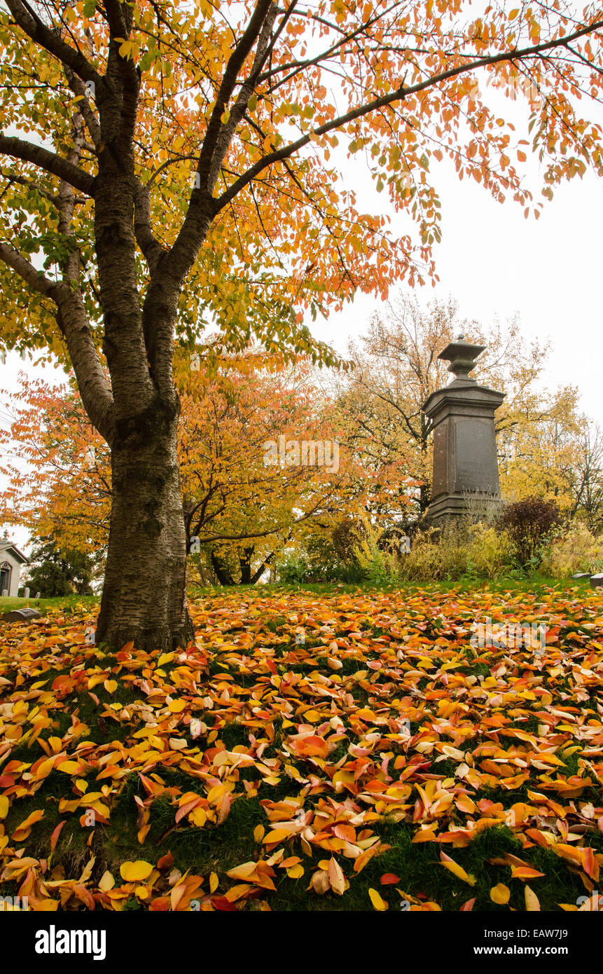 L'automne à Vert-bois Cimetière, Brooklyn, New York Banque D'Images