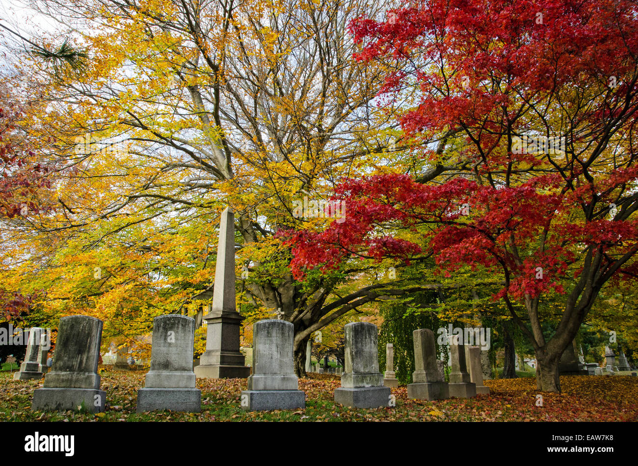 L'automne à Vert-bois Cimetière, Brooklyn, New York Banque D'Images