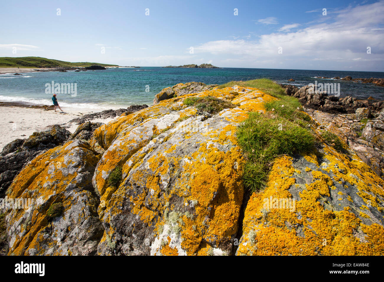 L'aigue-marine mer et couverts de lichen rocher sur la côte ouest d'Iona, off Mull, Ecosse, Royaume-Uni. Banque D'Images